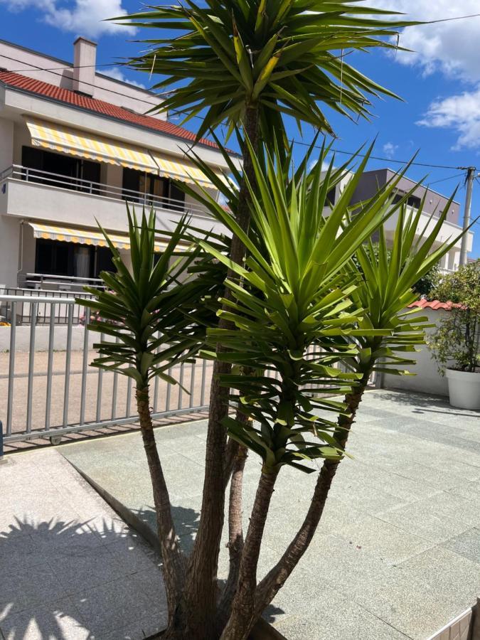 Apartments Lili Flora Zadar Luaran gambar